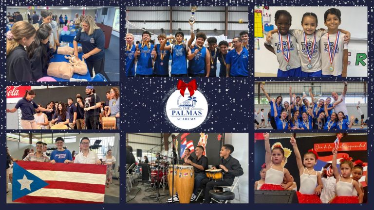 the palmas academy 768x433