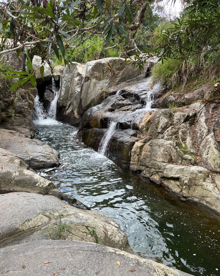 DE226B2E 638E 40BB 93CA 4AEE69926F0E 768x960