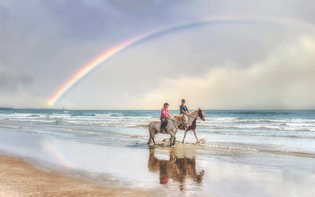 Horseback Riding Palmas Del Mar