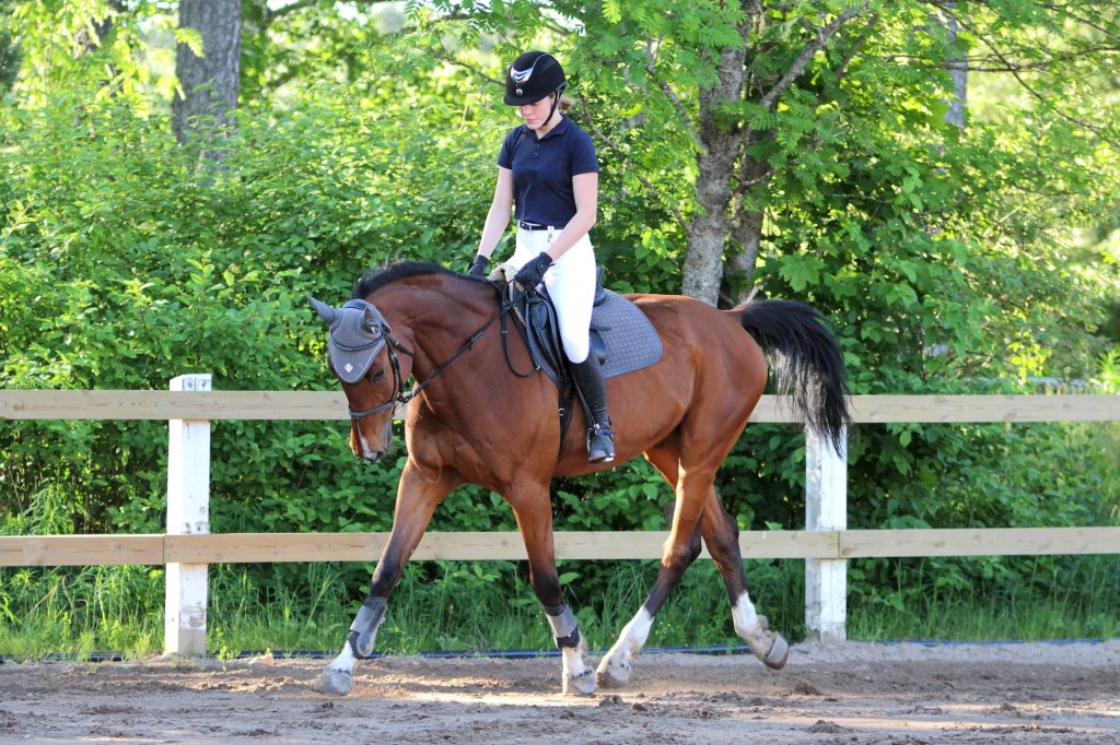 Palmas Del Mar Horseback Riding