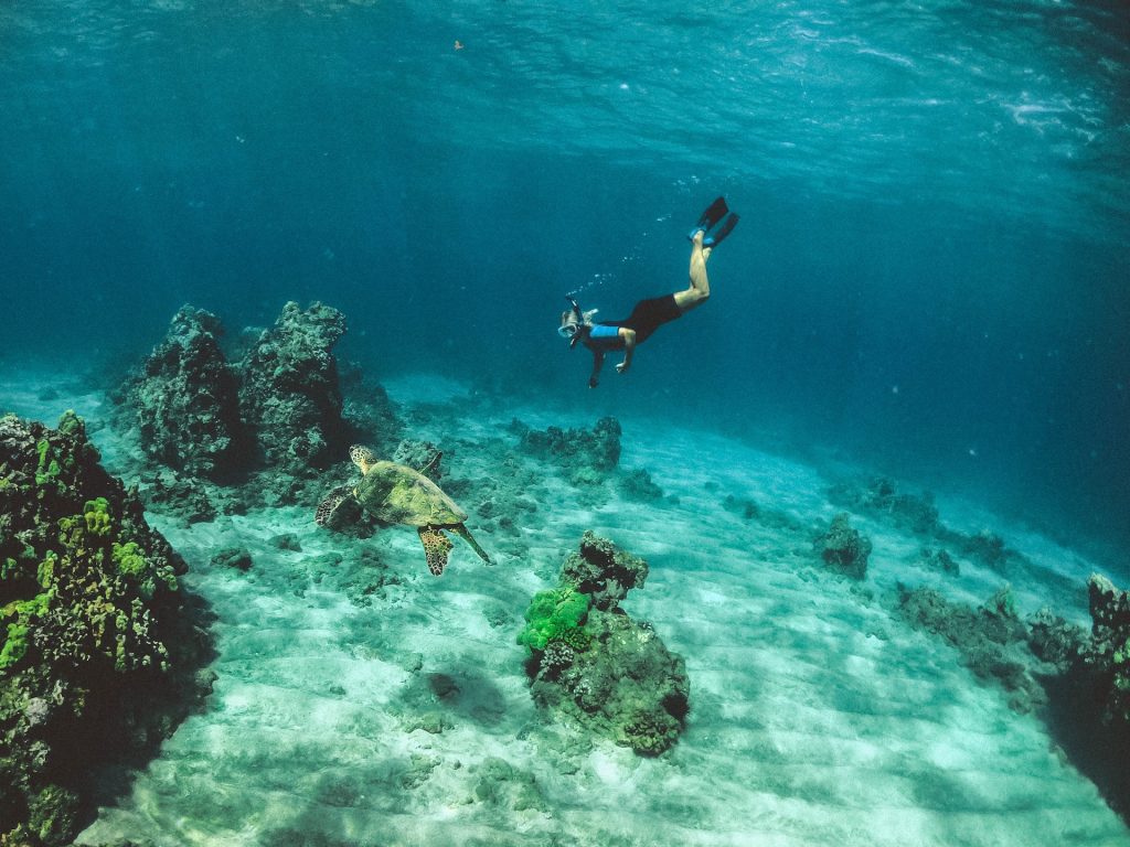 Palmas Del Mar Scuba Diving